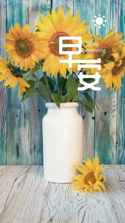 早安心语正能量加油心灵鸡汤简单好看的早安图片正能量2021