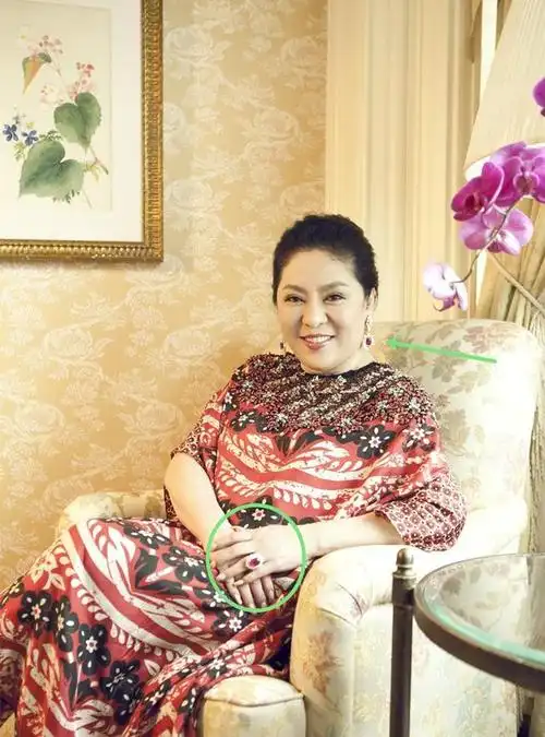 陈岚年轻时图片素颜照(63岁向太晒30年前旧照) - 帮企客