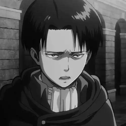 番名:《进击的巨人》 人物:利威尔 兵长