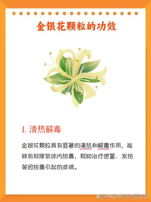 金银花颗粒的神奇功效