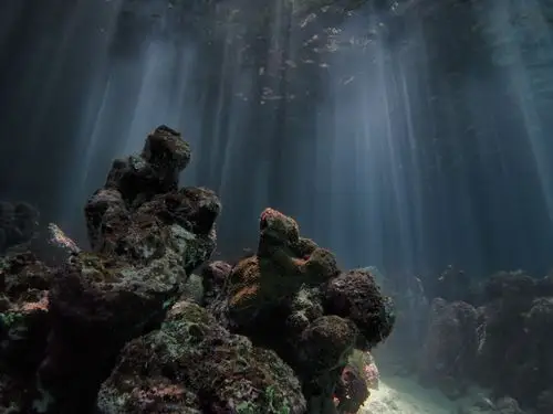 马尔代夫水下相机选择,及拍摄攻略