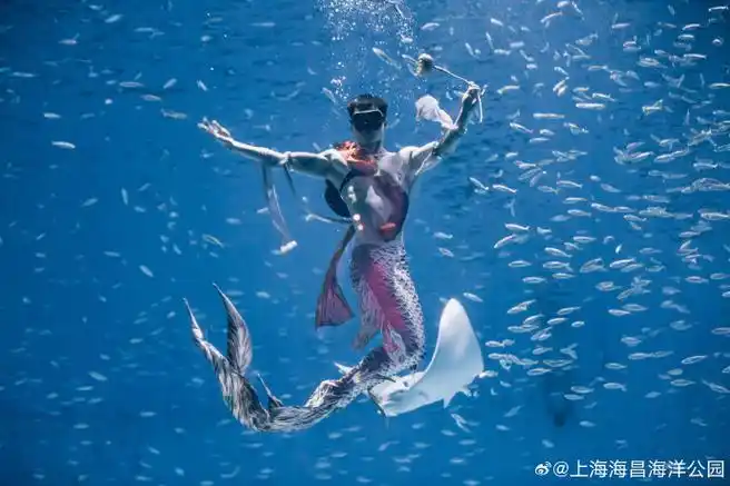 荣登央视的爆款男美人鱼秀五一焕新回归 震撼来袭!