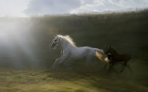 狂野动感震撼视觉 小镇摄影师的大创作