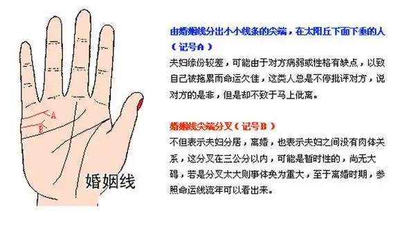 婚姻线尾部往上翘缺乏结婚的意愿.
