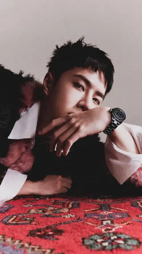 王一博嘉人now五连封