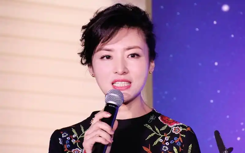 回顾综艺大观停播多年6位主持人变化大有人三婚有人被抓