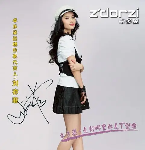 明星 刘亦菲 小小小小丸子采集到刘亦菲1  采集 卓多姿 (39).