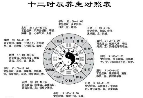 十二时辰与五脏六腑