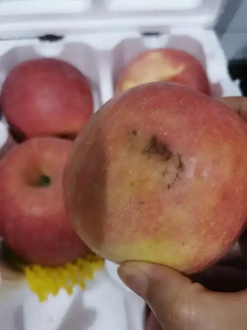 我们为您提供山东水果甜的优质评价包括山东水果甜商品评价晒单百万