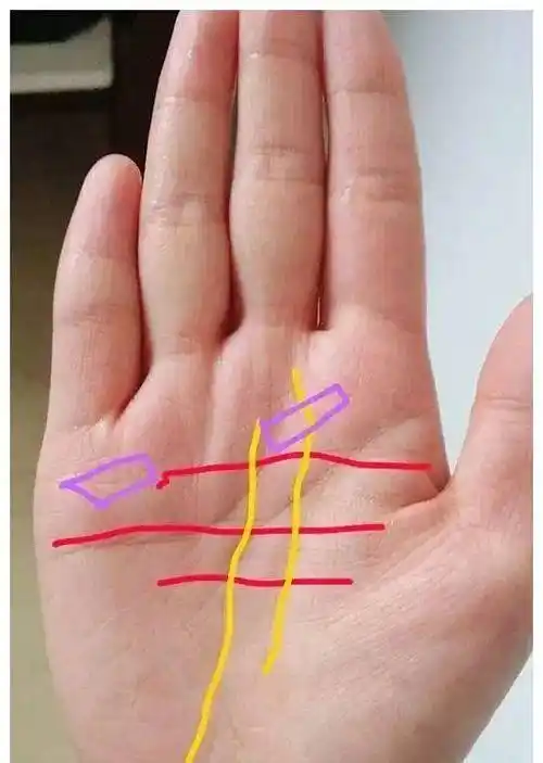 "手带财印,钱财无尽",的发大财手相,看看你的手有没有_事业_财运_正常