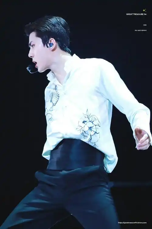 2661596615191214 五巡 in 吉隆坡又是一场黑束腰呀#吴世勋