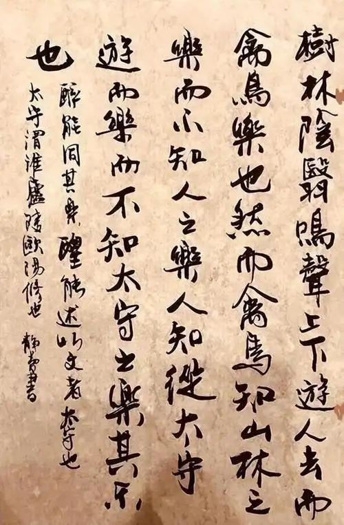 徐静蕾:娱乐圈中的书法"异类"?