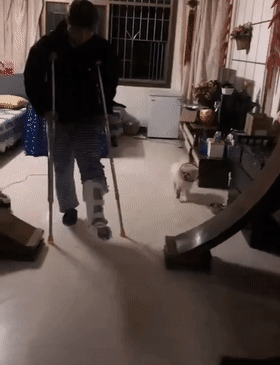 280_365竖版 竖屏gif 动态图 动图