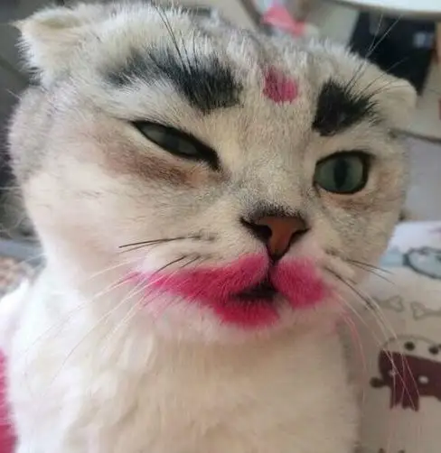 搞笑gif:刚路上有一男的背影发型跟你一模一样!