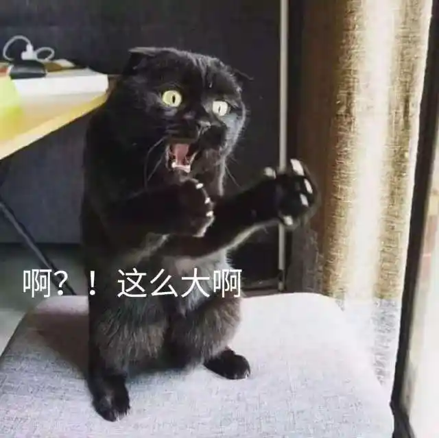 喵:错了,我是说悲伤那么大