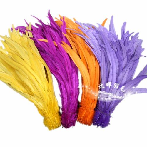 三年以上公鸡尾毛 鸡毛 羽毛 n色 1根 服装辅料 演出道具约40cm