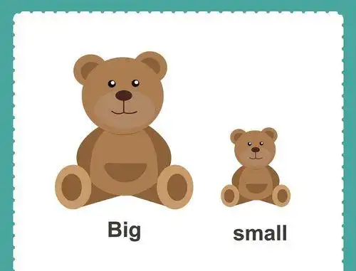 幼儿园小班科学教案认识大和小