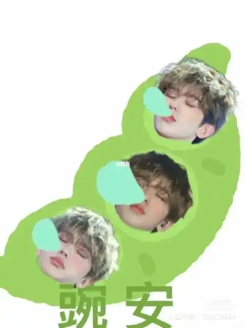 蔡徐坤蔡小葵表情包