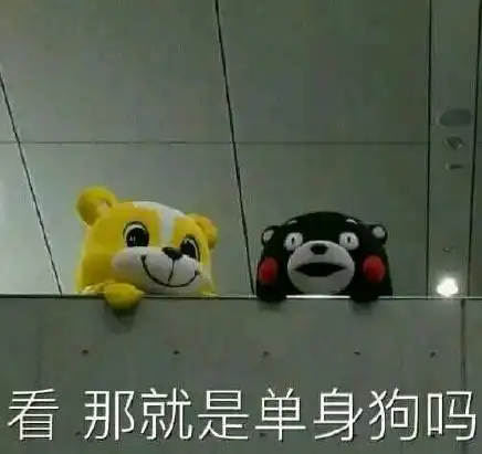 看,那就是单身狗吗