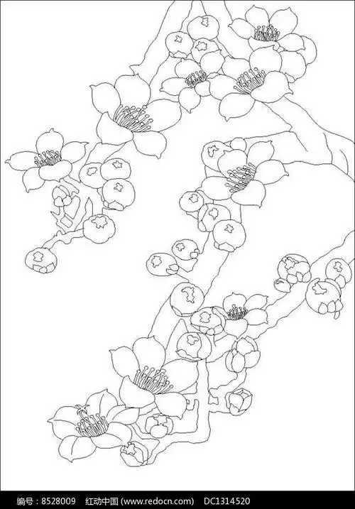 木棉花简笔画带颜色