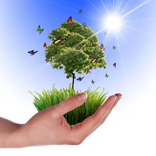 绿色环保主题高清图片