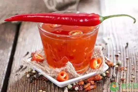 教你自制辣椒水不打药也能防治虫害建议收藏