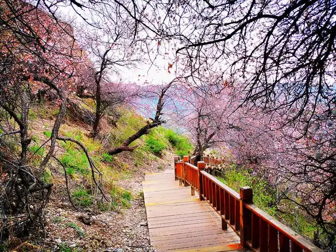 人间仙境福寿山