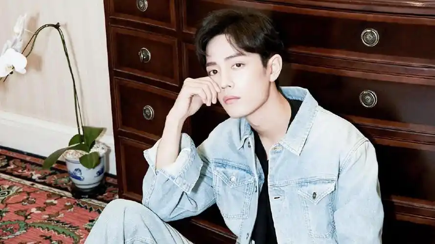 电脑壁纸 明星 大陆明星 肖战帅气牛仔外套迷人写真