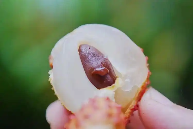 夏天到来时,你是杨梅党还是荔枝党?同享618