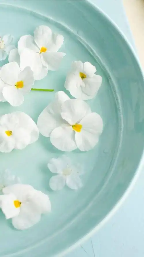 清新白花唯美图片