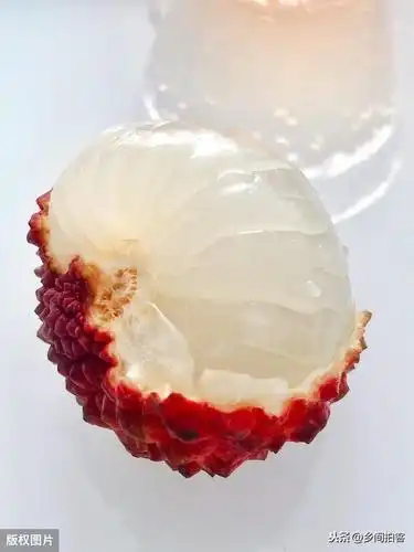 火山岩上的奇迹—海南火山荔枝王,大如鸡蛋一年采摘期只有7天_手机