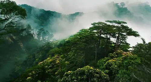 好山好水好风光 中国海南热带雨林国家公园