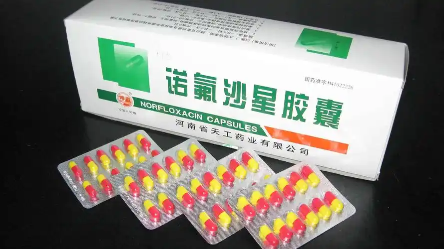 诺氟沙星胶囊(0.1g*10s*5板)-白云山东泰商丘药业有限公司