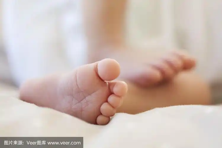 宝宝的脚