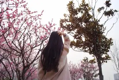 收集   点赞  评论  背影 0 0 花谅  发布到  春日乍暖 图片评论 0条