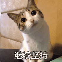 猫猫很萌张望继续坚持gif动图_动态图_表情包下载_soogif