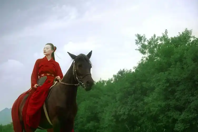 一袭红衣 一马 一壶酒