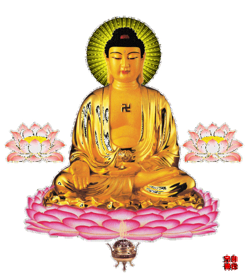 600_675gif 动态图 动图