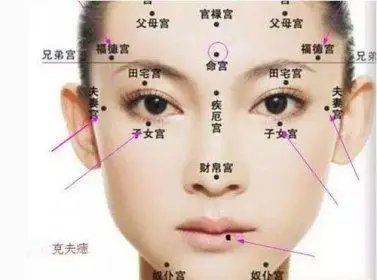 女人身上所有的痣图解含义