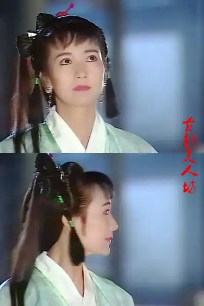 陈美琪由青蛇修炼而成,白素贞的婢女,妹妹,聪明伶俐,爱憎分明.