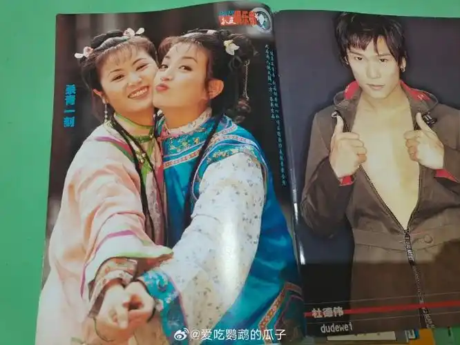 赵薇##林心如##范冰冰##苏有朋##周杰##刘丹