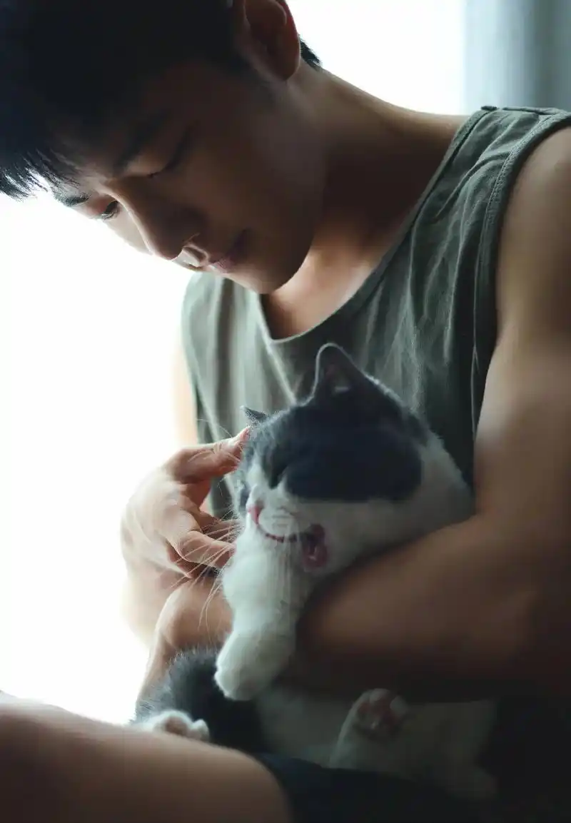 向全世界安利最好的肖战 #肖战 最是温柔低头时,男孩和猫的 - 抖音