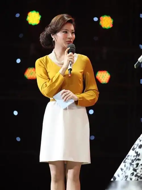 知性高雅的孟盛楠身为央视主持人有颜值更要拼实力