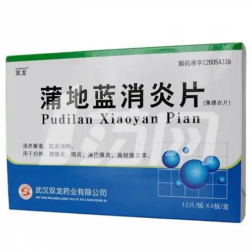 双龙 蒲地蓝消炎片(otc) 0.31g*12片*4板(薄膜衣片)