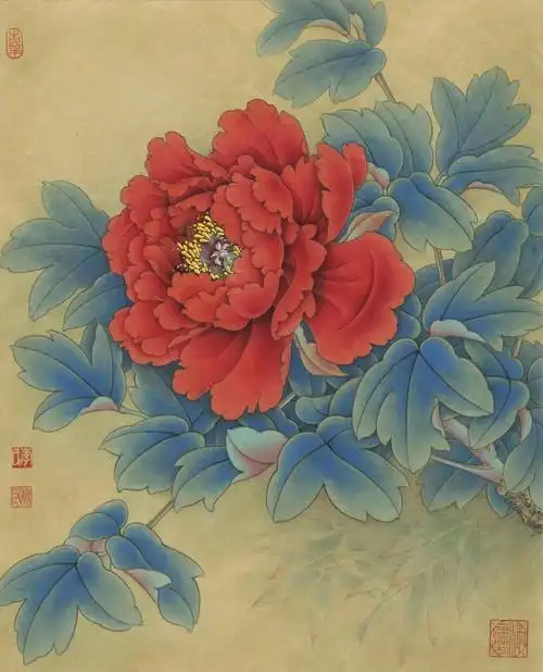 工笔画步骤分享牡丹状元红