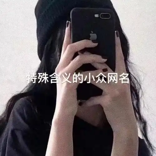 特殊意义的网名