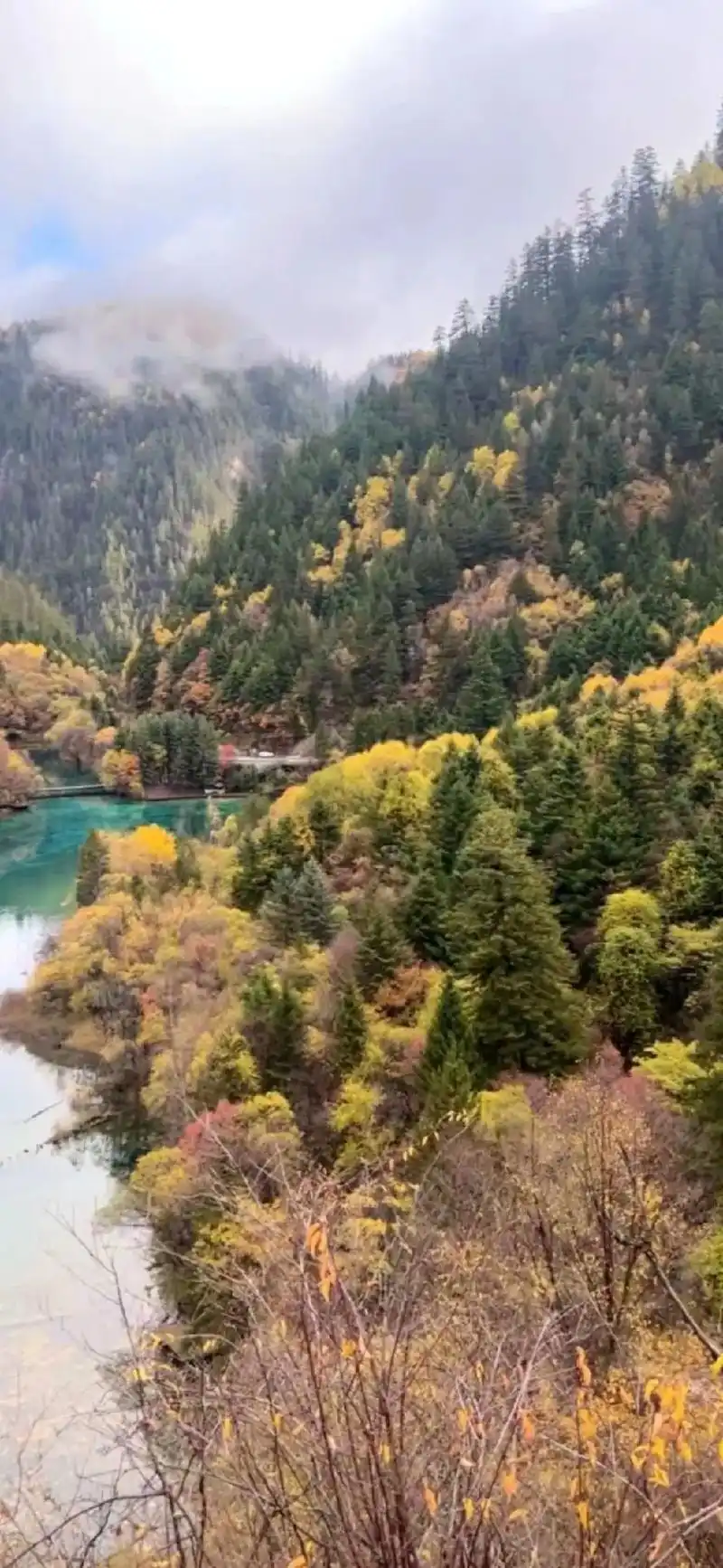 歌曲醉在山水间 #属于秋天的颜色 #治愈系风景 #九寨沟的 - 抖音