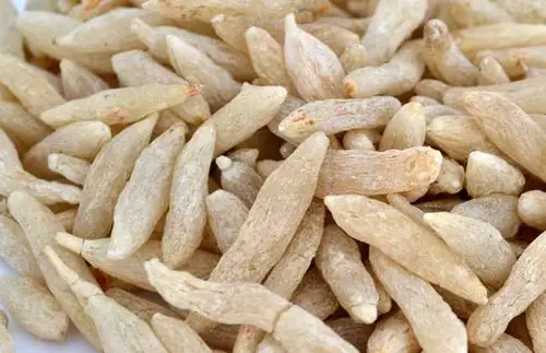 麦冬的鉴别方法