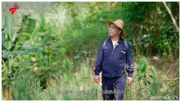 "十万大山",也有一位"常客"奔走在寻山问药的旅途中——采药人孙本新