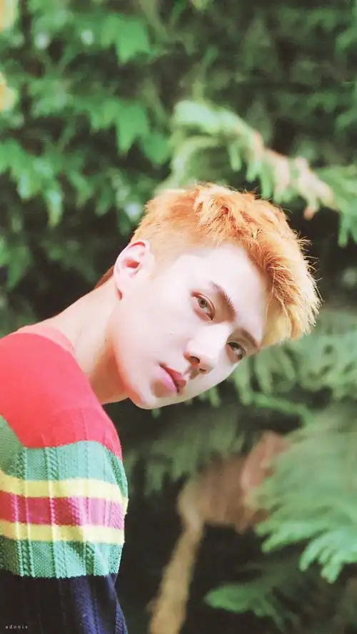 吴世勋的发色图楼更新至金色多图警告